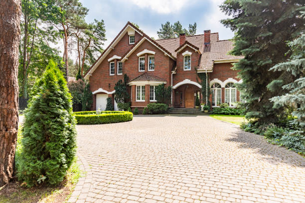 Best Driveway Paving Contractor  in Humboldt, TN
