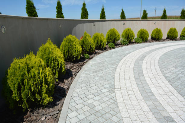Best Best Driveway Pavers  in Humboldt, TN
